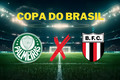 Palmeiras enfrenta Botafogo-SP na Copa do Brasil