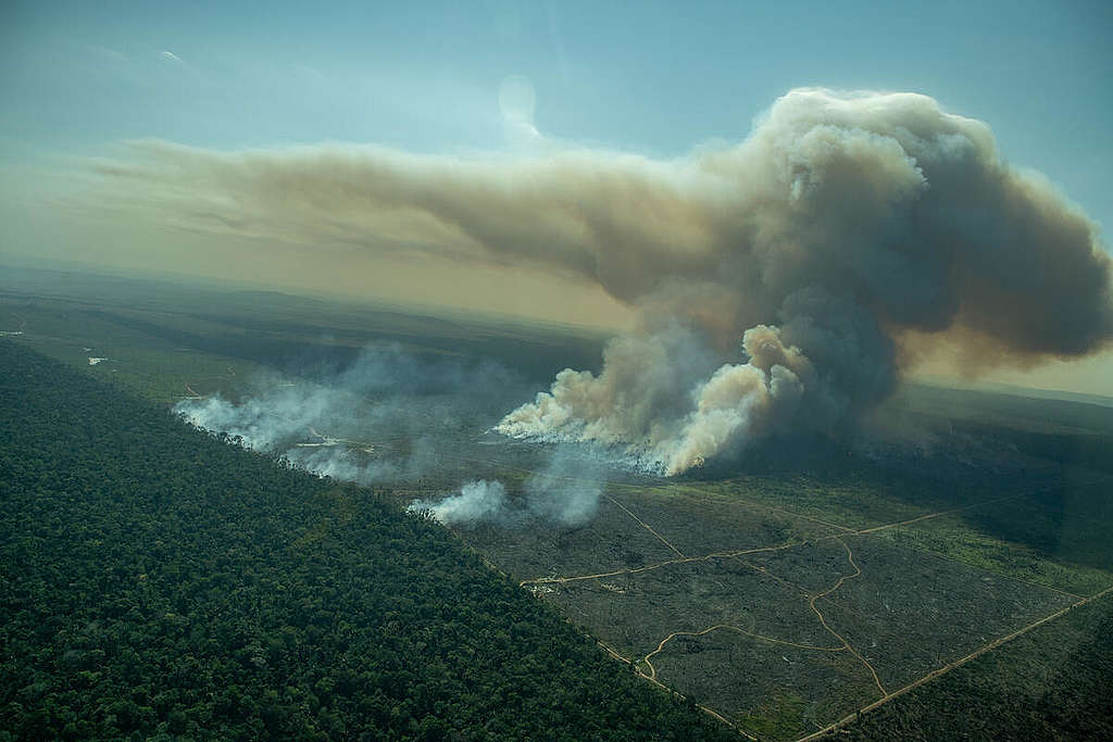 Alertas de desmatamento na Amazônia batem recorde em outubro, aponta Inpe