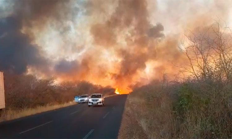 Ministério Público solicita reativação do Comitê Estadual de Prevenção e Combate a Incêndios Florestais