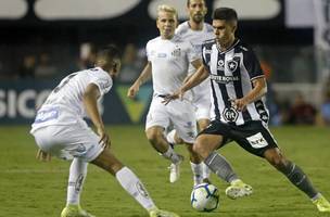 Botafogo bate o Santos (Foto: Divulgação)