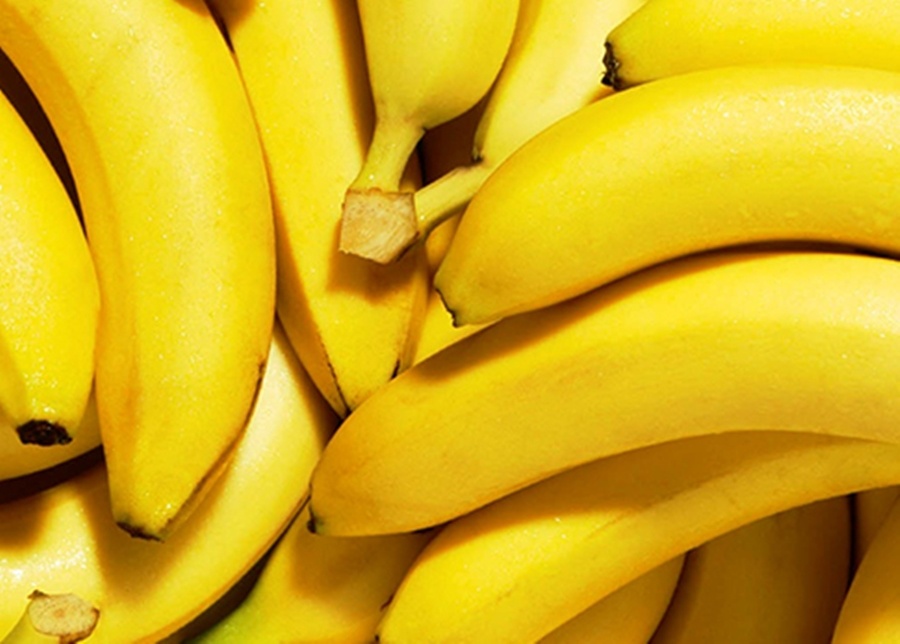 Bananas produzidas nos taboleiros litorâneos, exportadas para fora do Piauí.