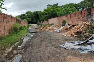 Moradores jogam lixo nas ruas em Teresina (Foto: Divulgação)