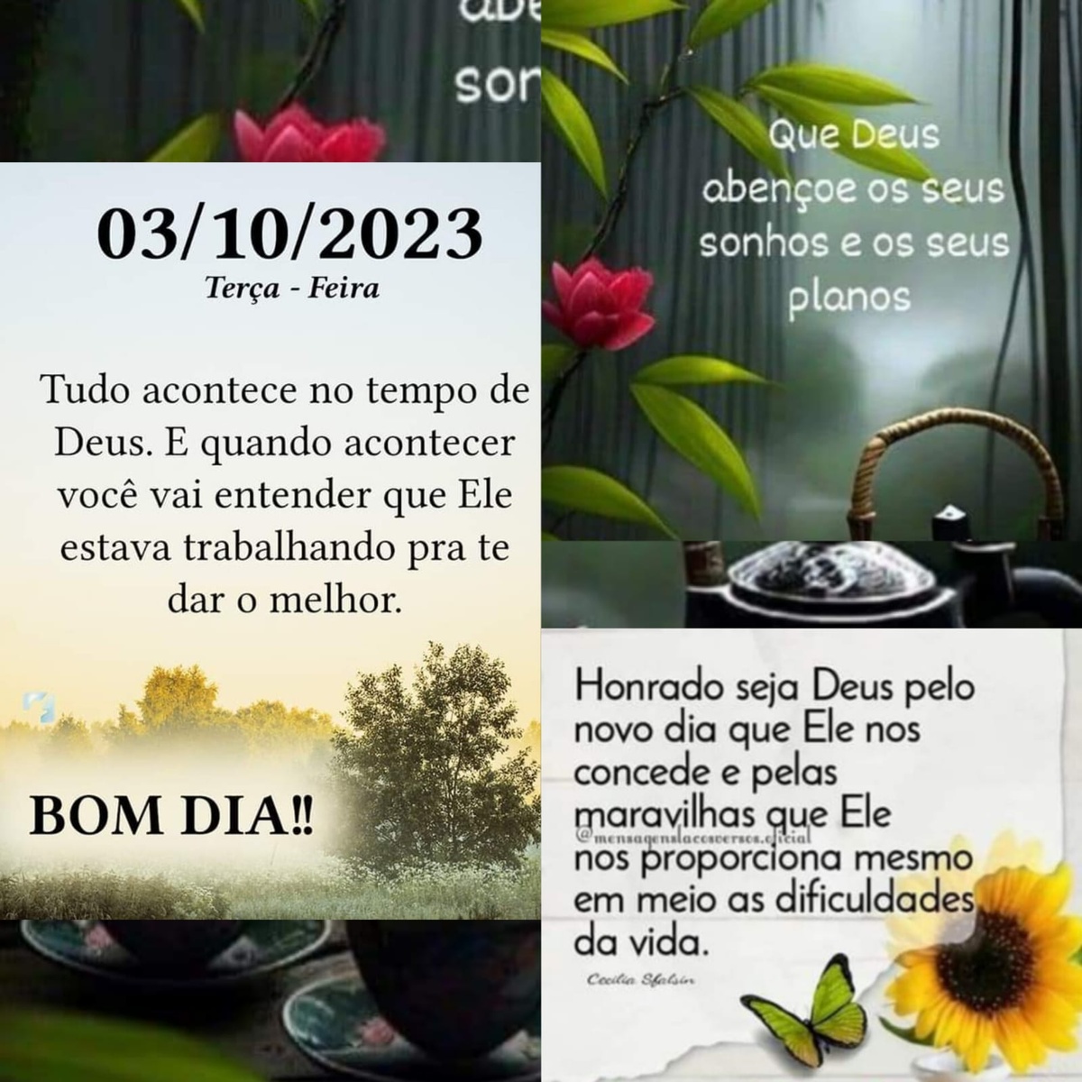 Pensamento do dia