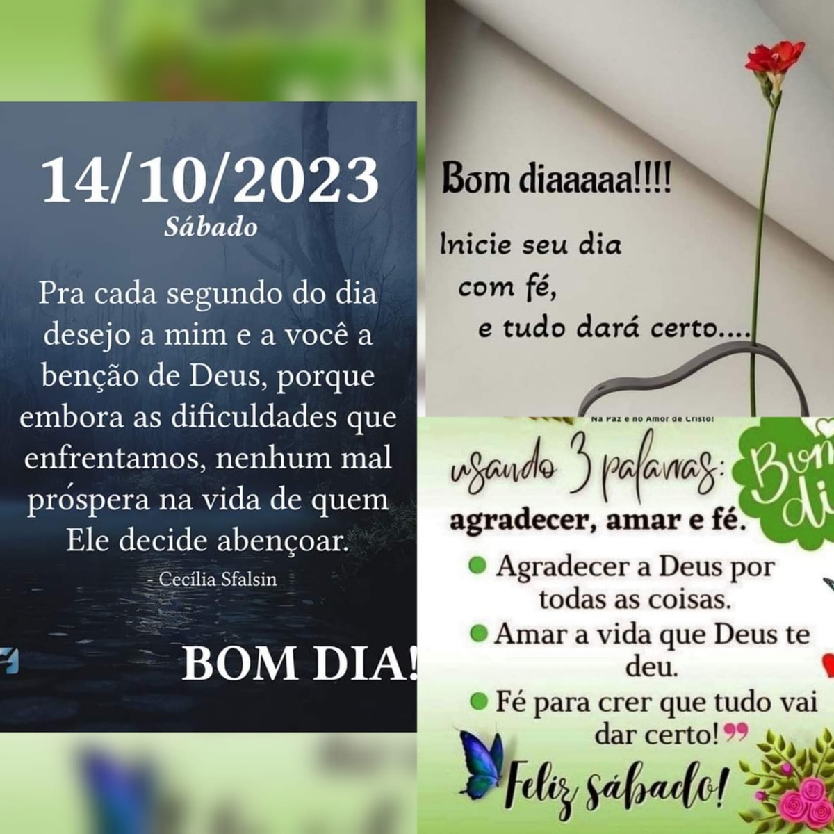 Pensamento do dia