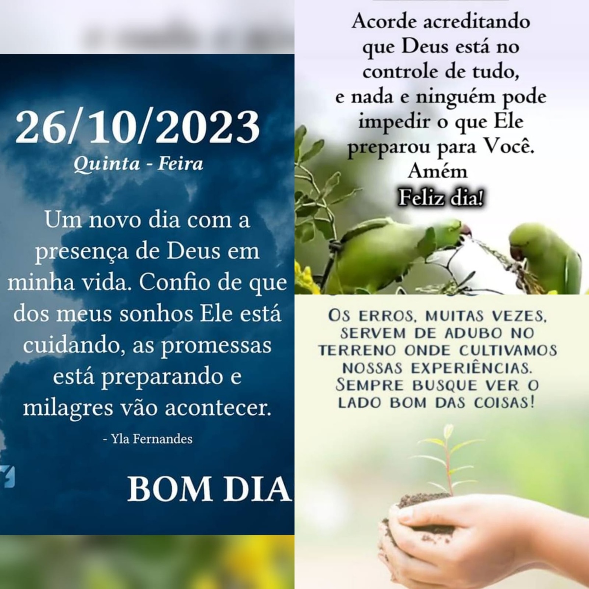 Pensamento do dia