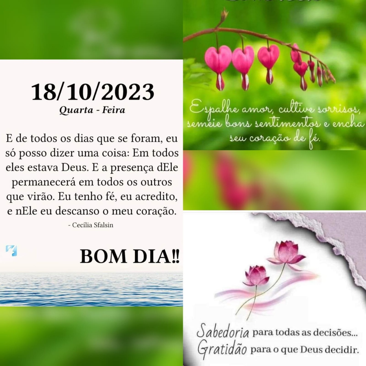 Pensamento do dia