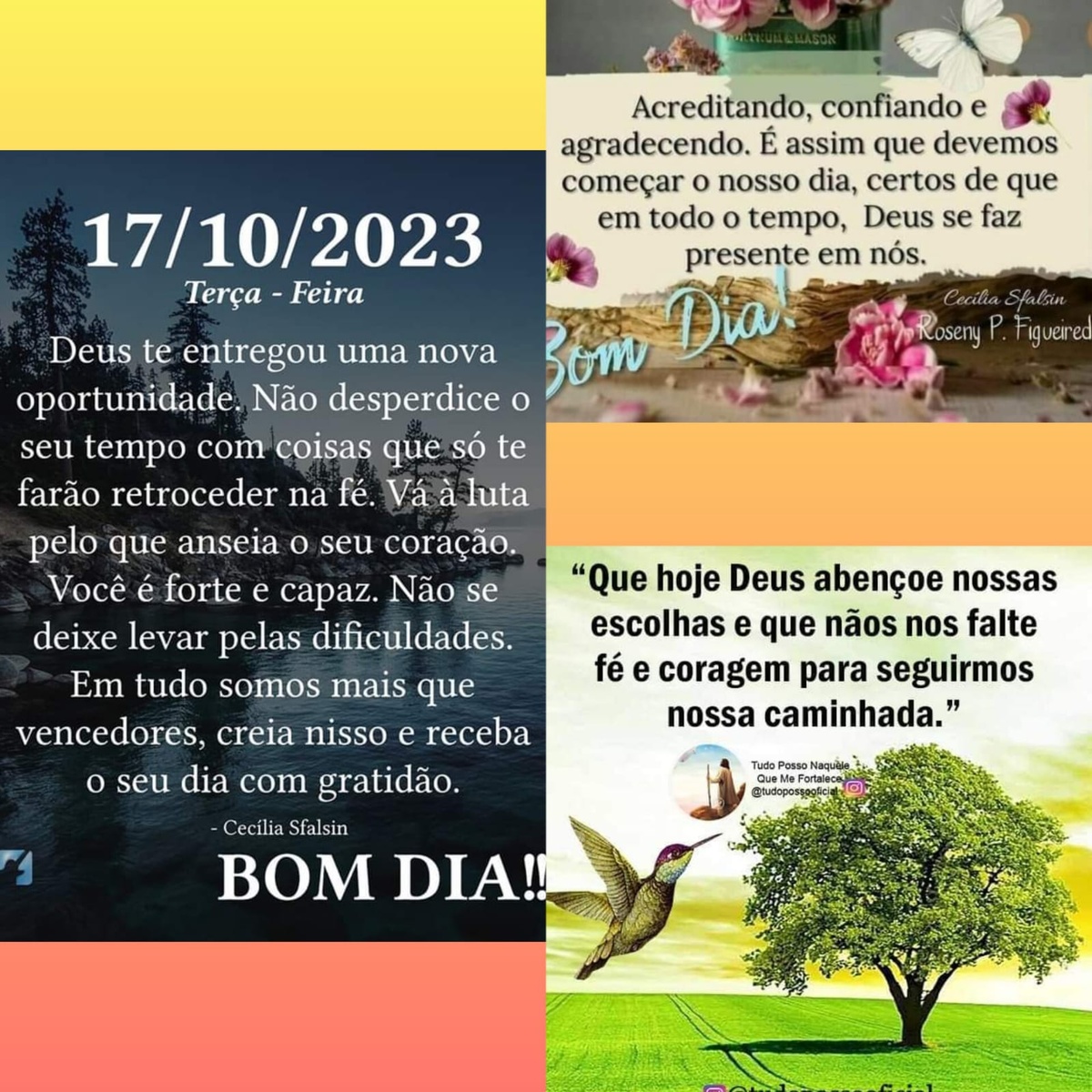 Pensamento do dia