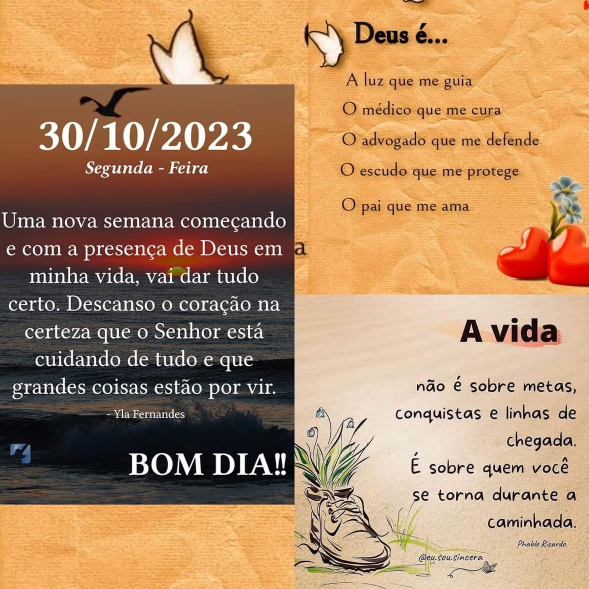Pensamento do dia