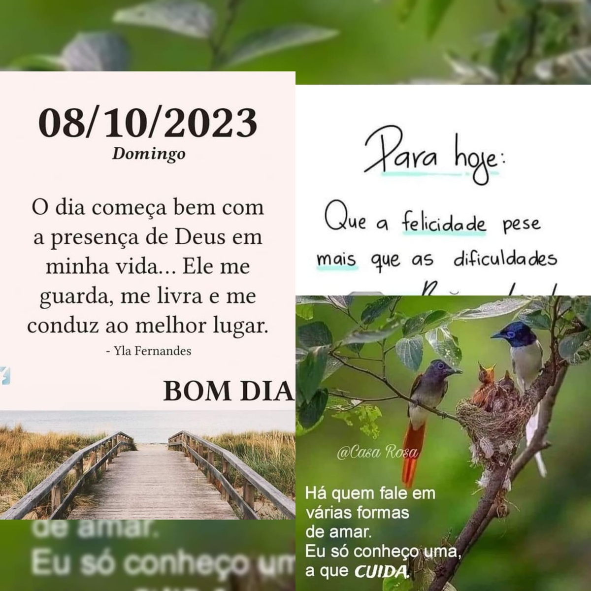 Pensamento do dia