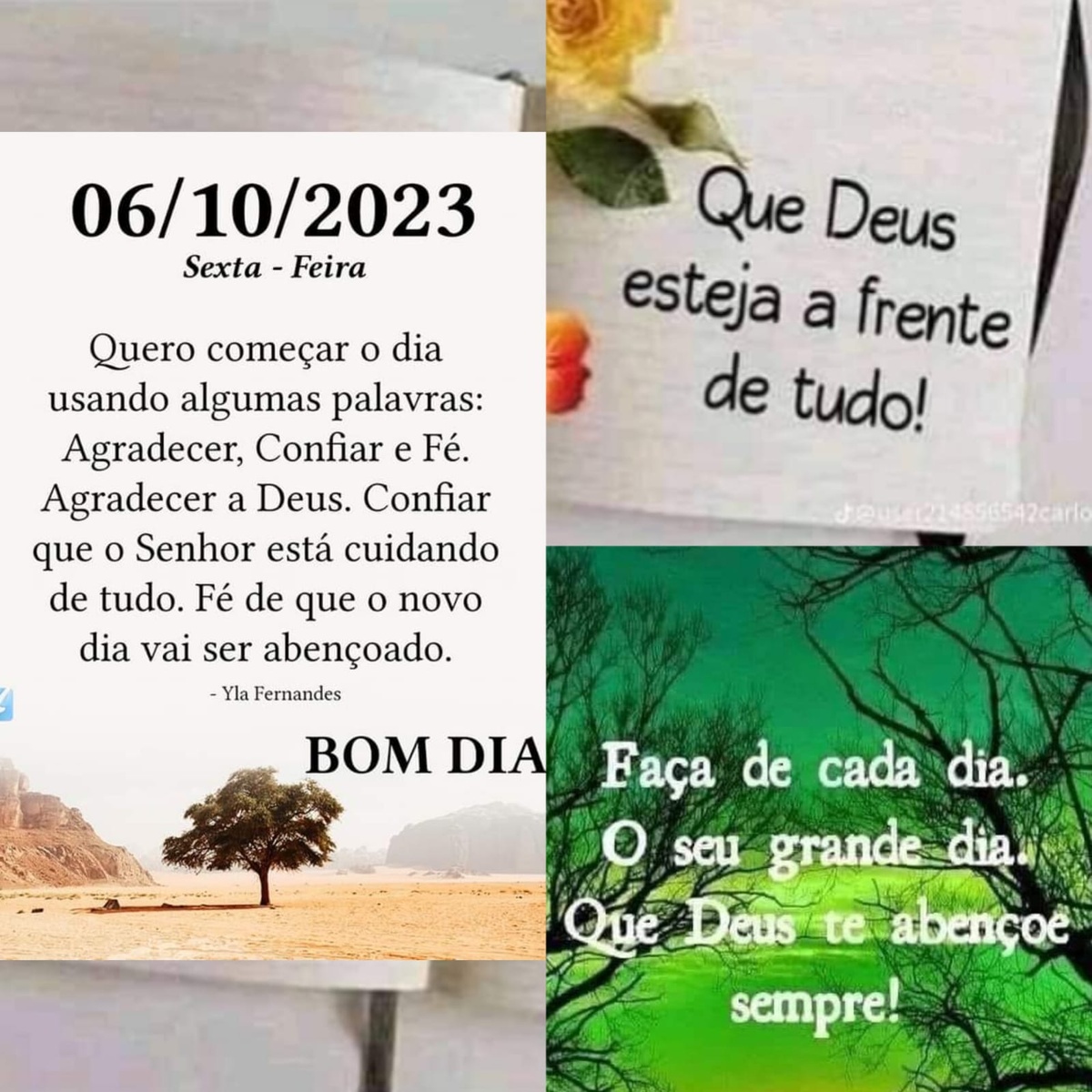 Pensamento do dia