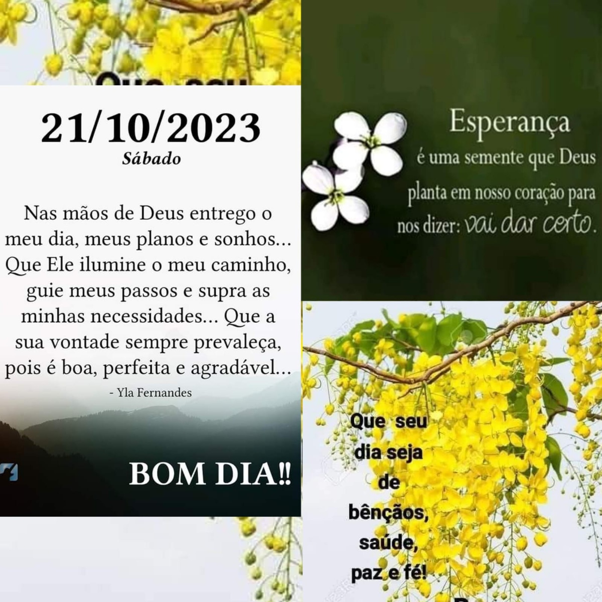Pensamento do dia