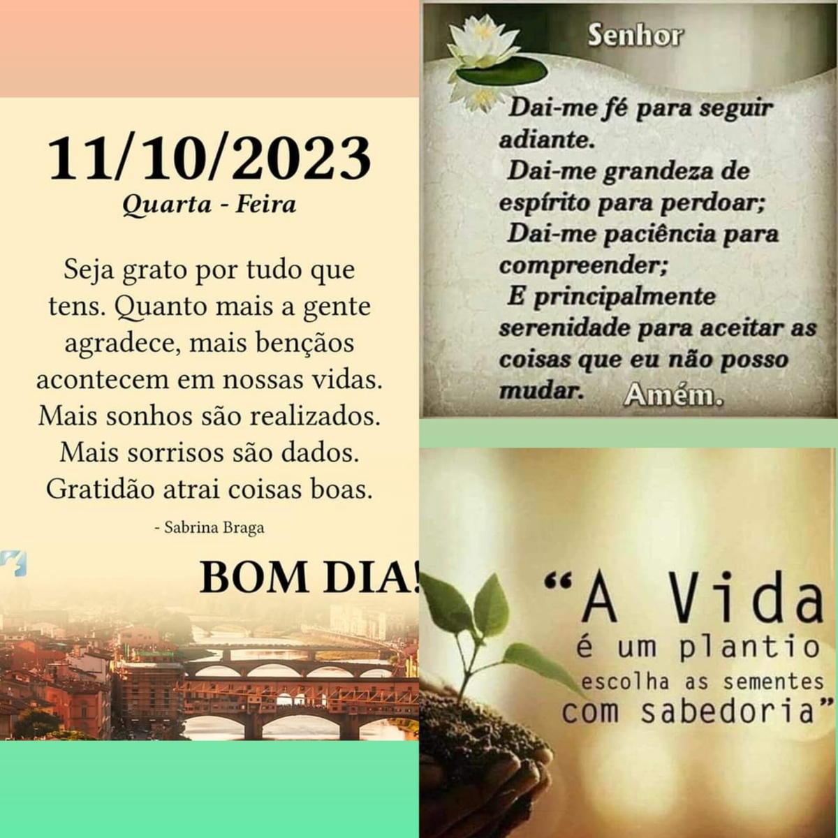 Pensamento do dia