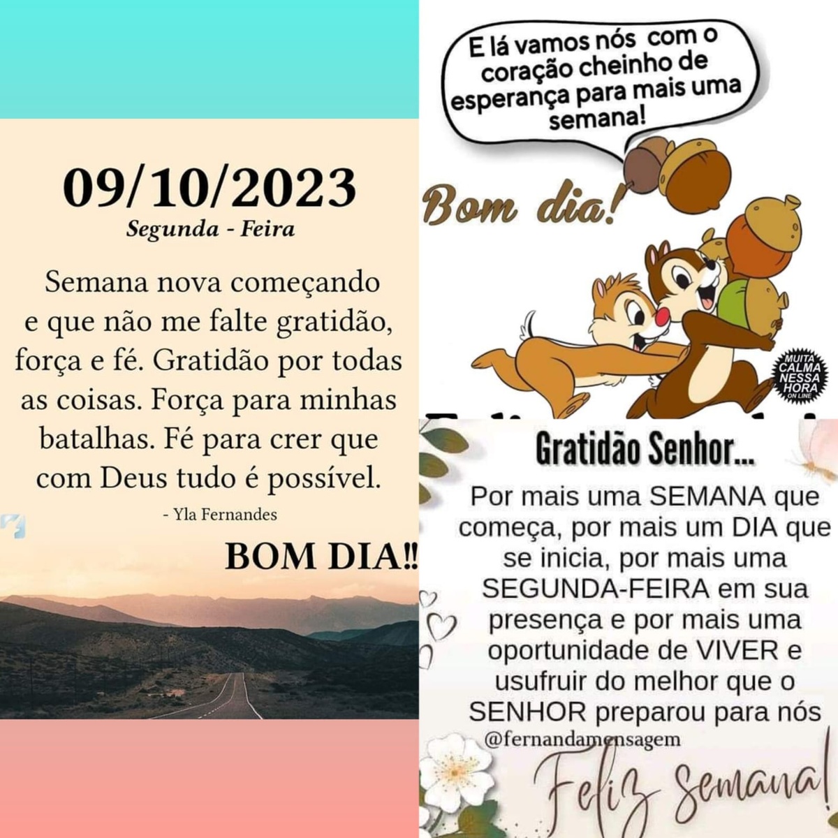 Pensamento do dia