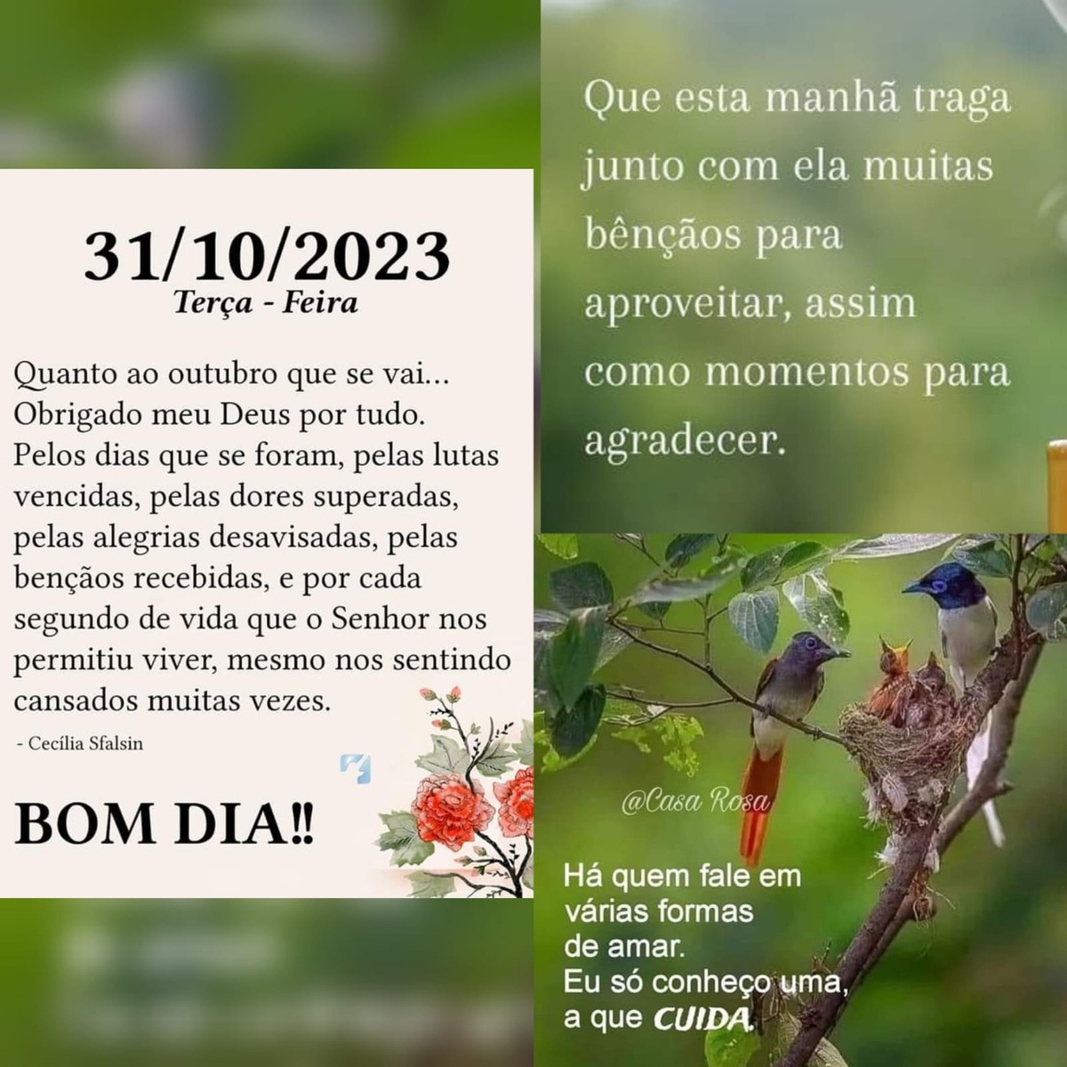 Pensamento do dia