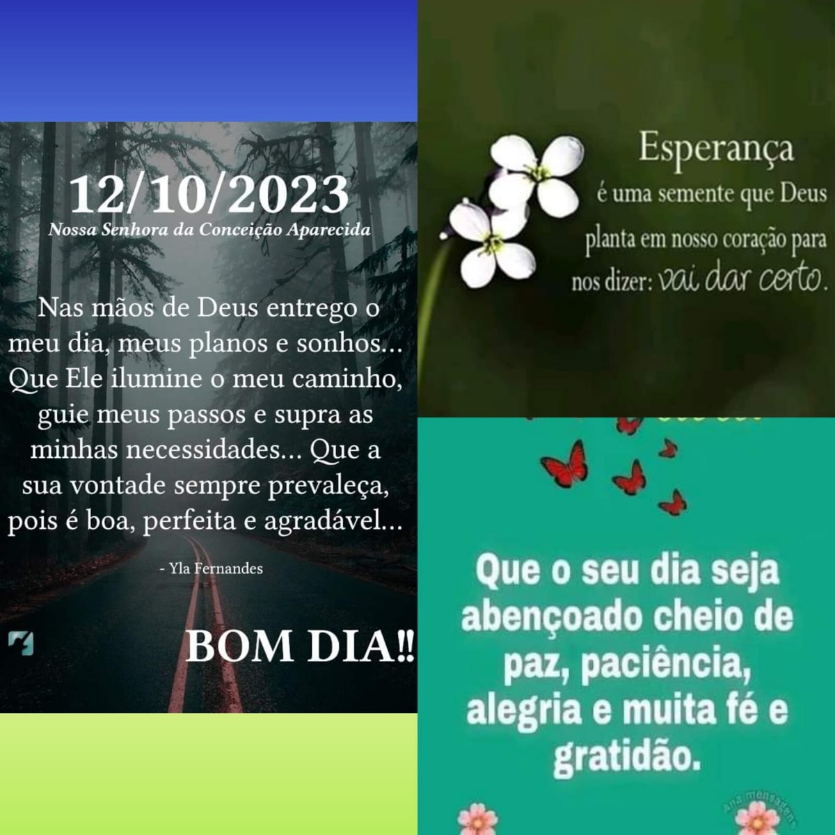 Pensamento do dia