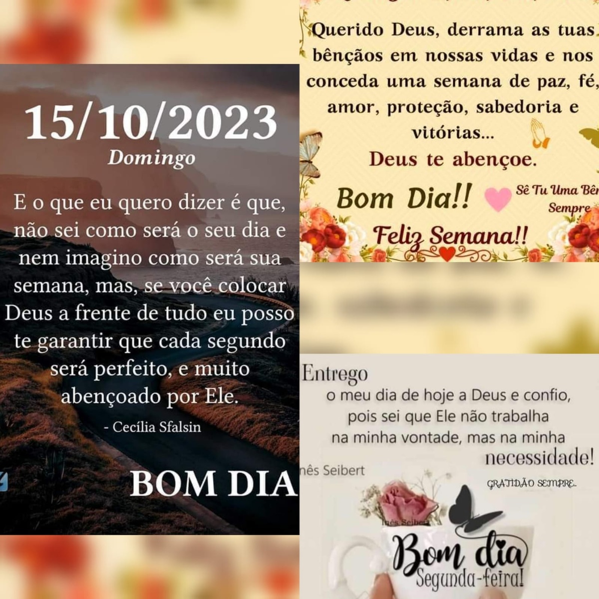 Pensamento do dia