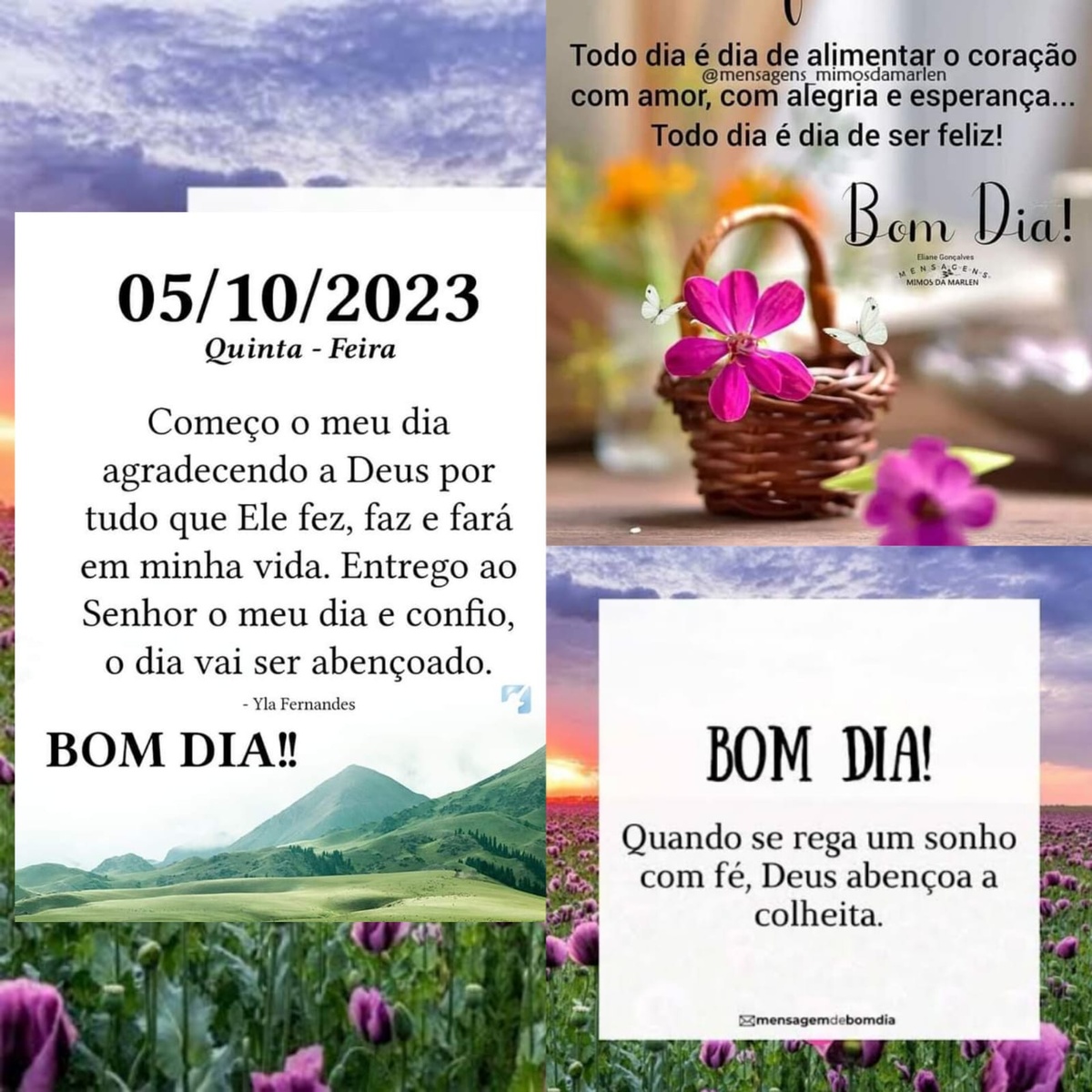 Pensamento do dia