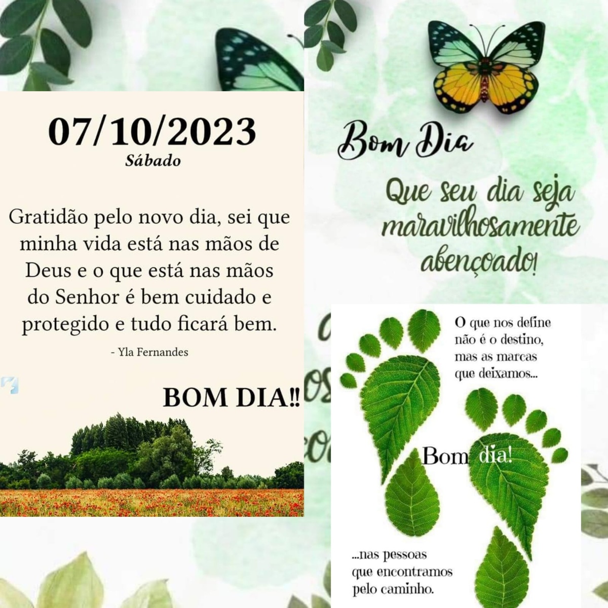 Pensamento do dia