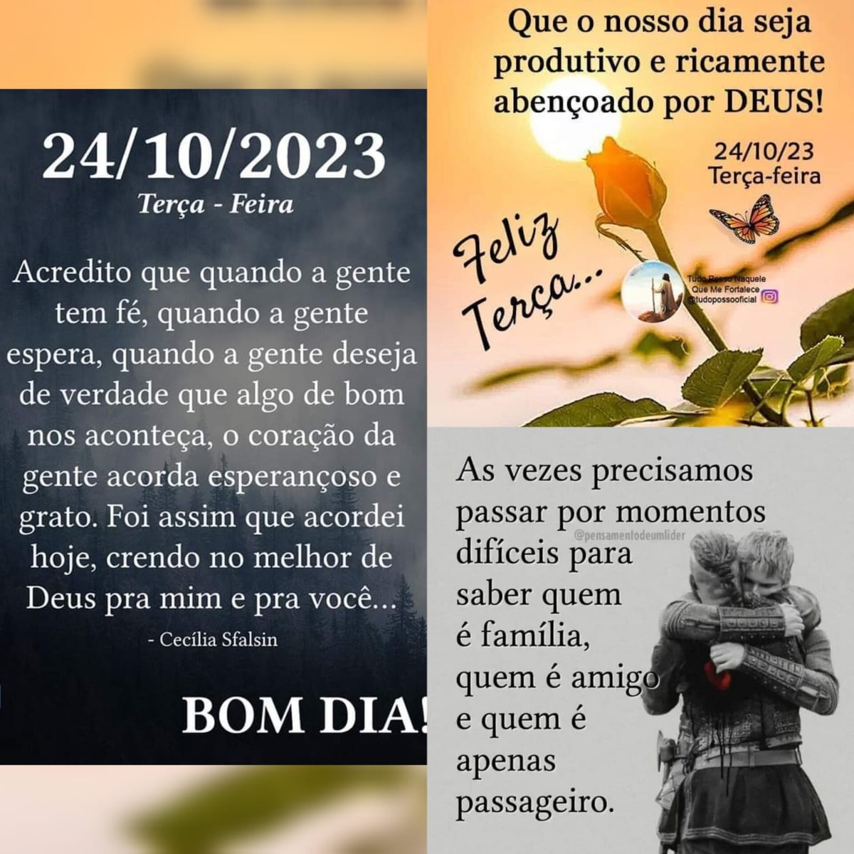 Pensamento do dia
