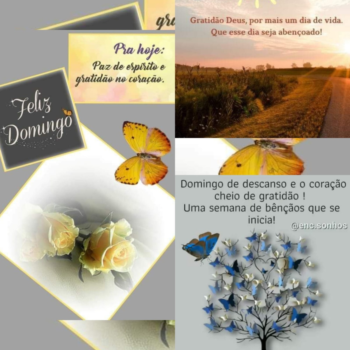 Pensamento do dia