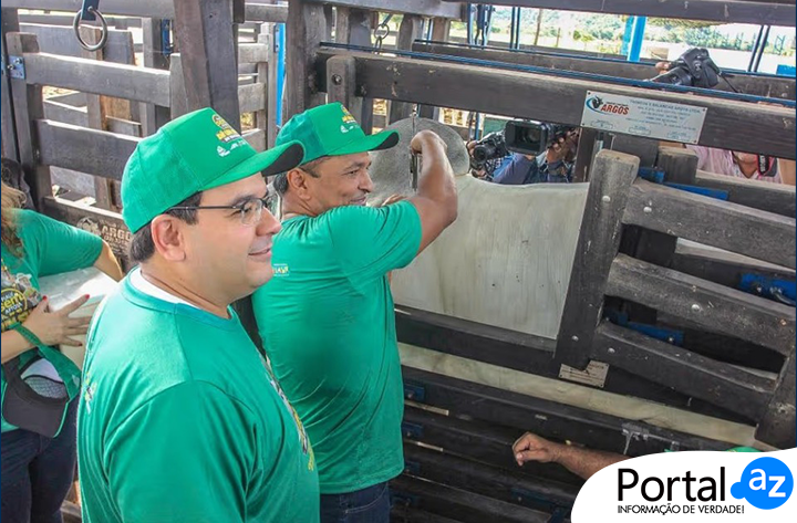 Campanha de Vacinação Contra a Febre Aftosa