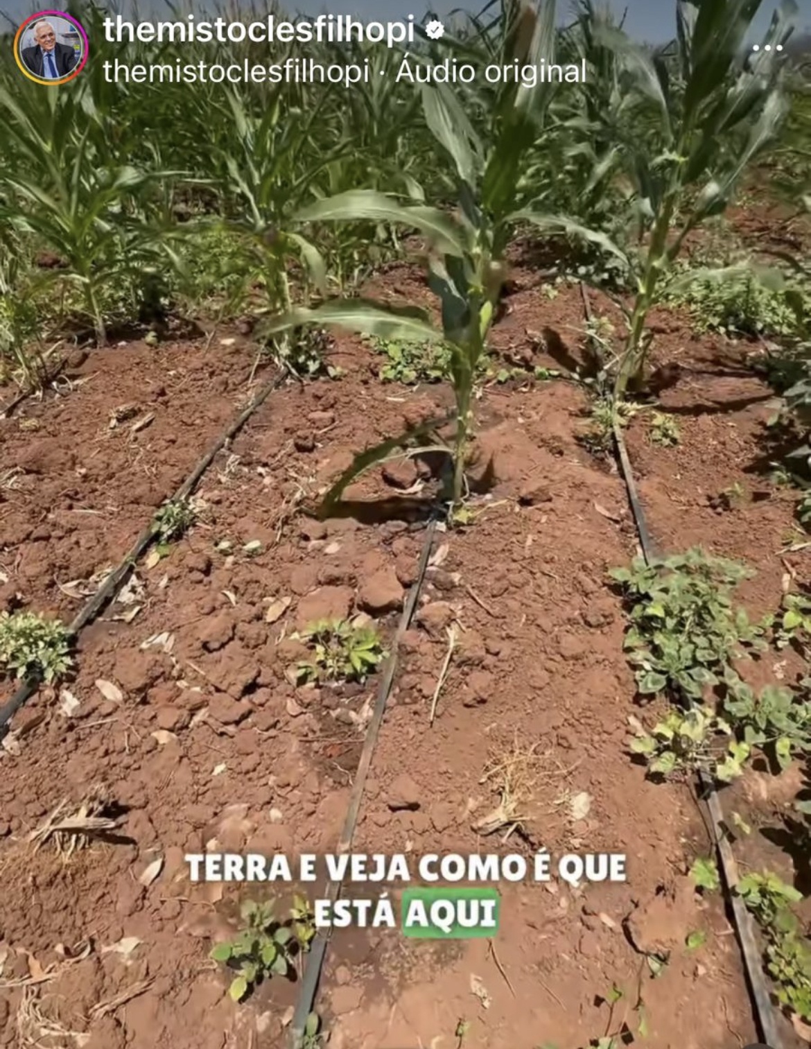 Dutos da irrigação na fazenda de milhões vice-governador Themistocles Filho.