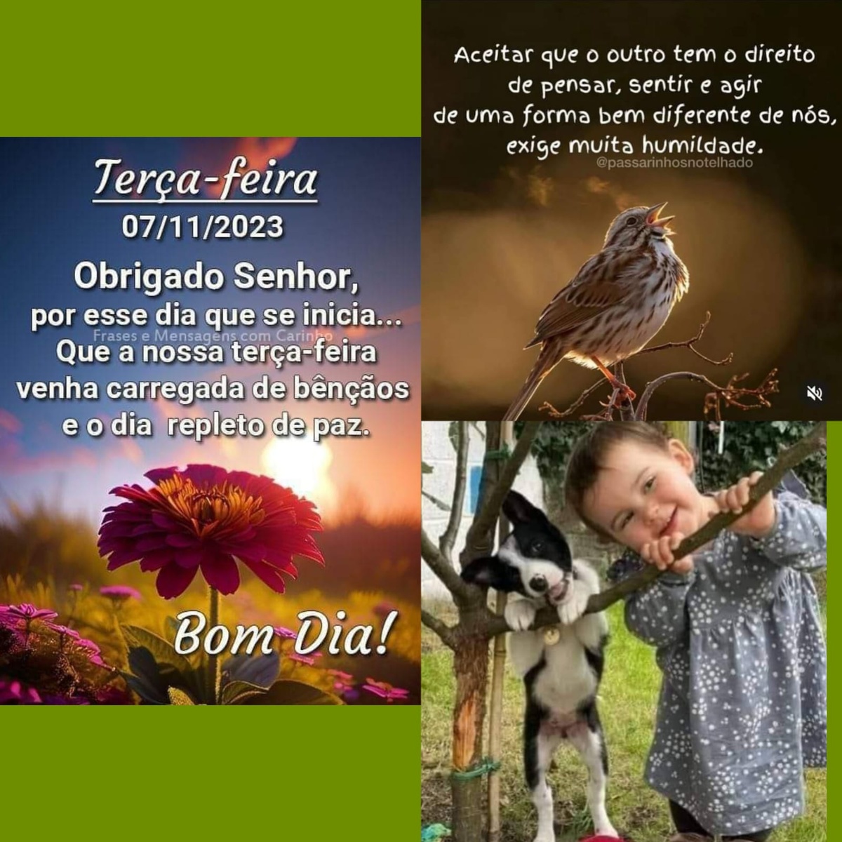 Pensamento do dia