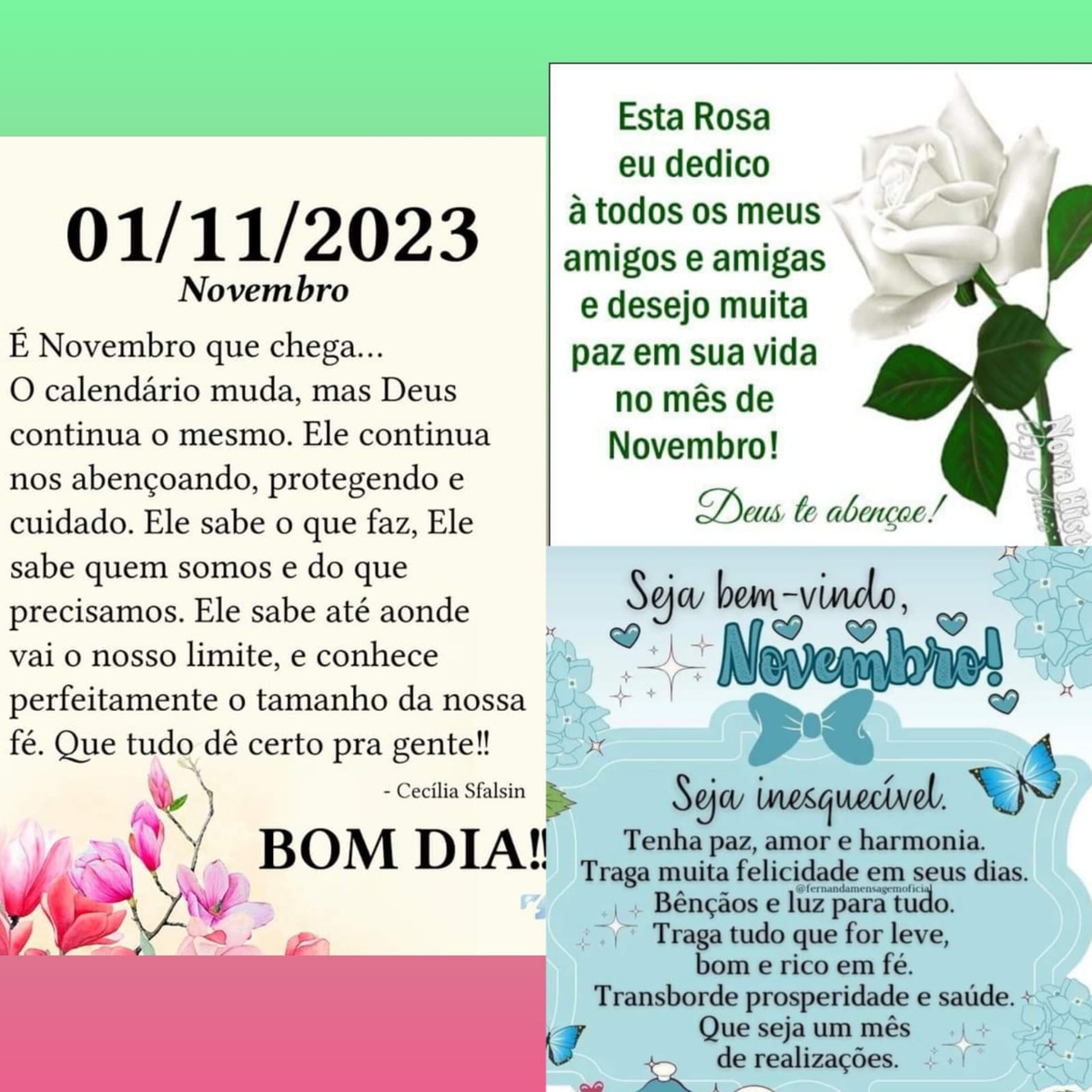 Pensamento do dia