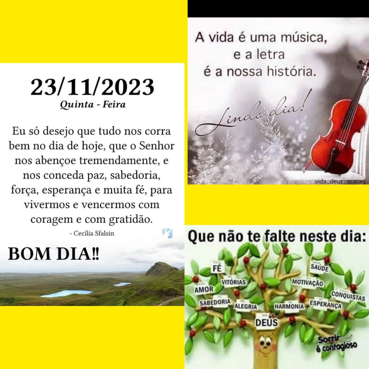 Pensamento do dia