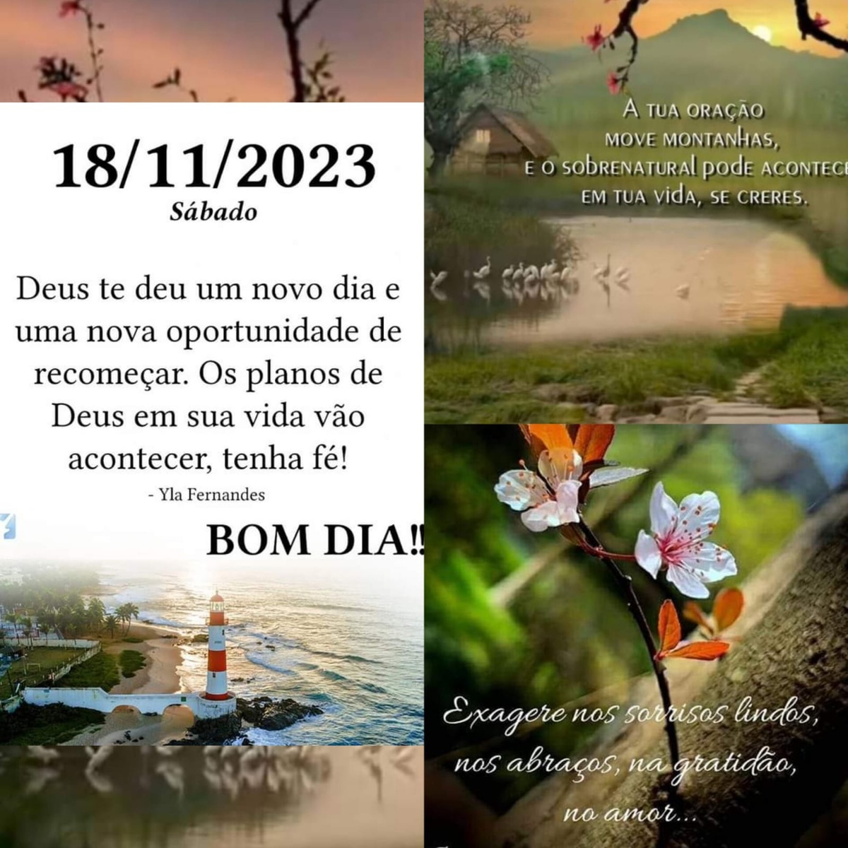 Pensamento do dia