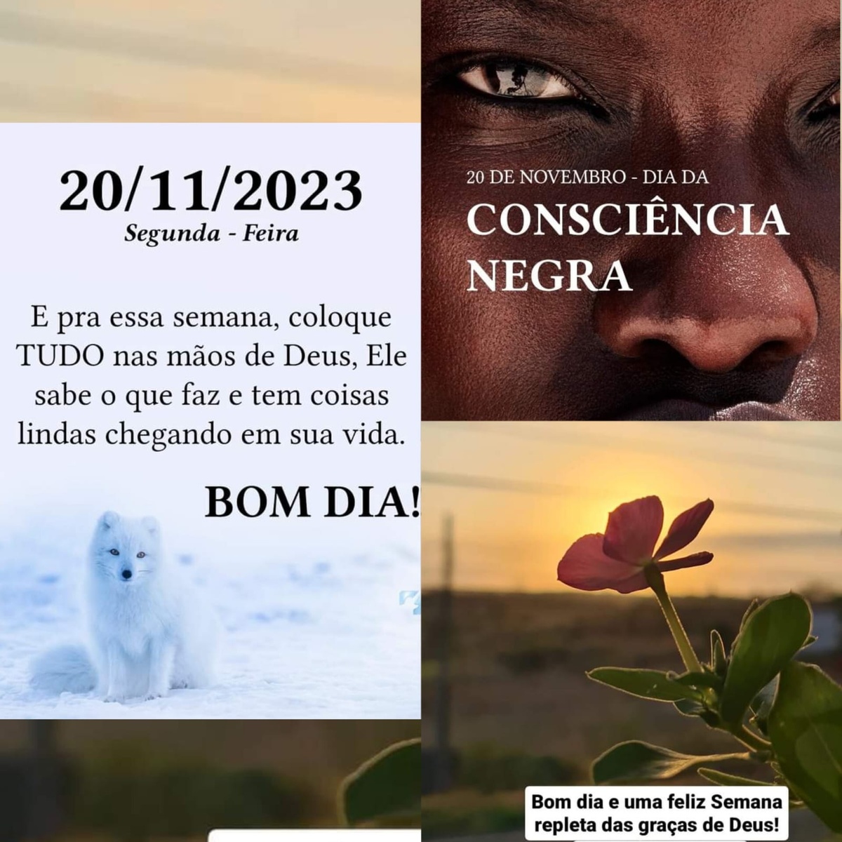 Pensamento do dia