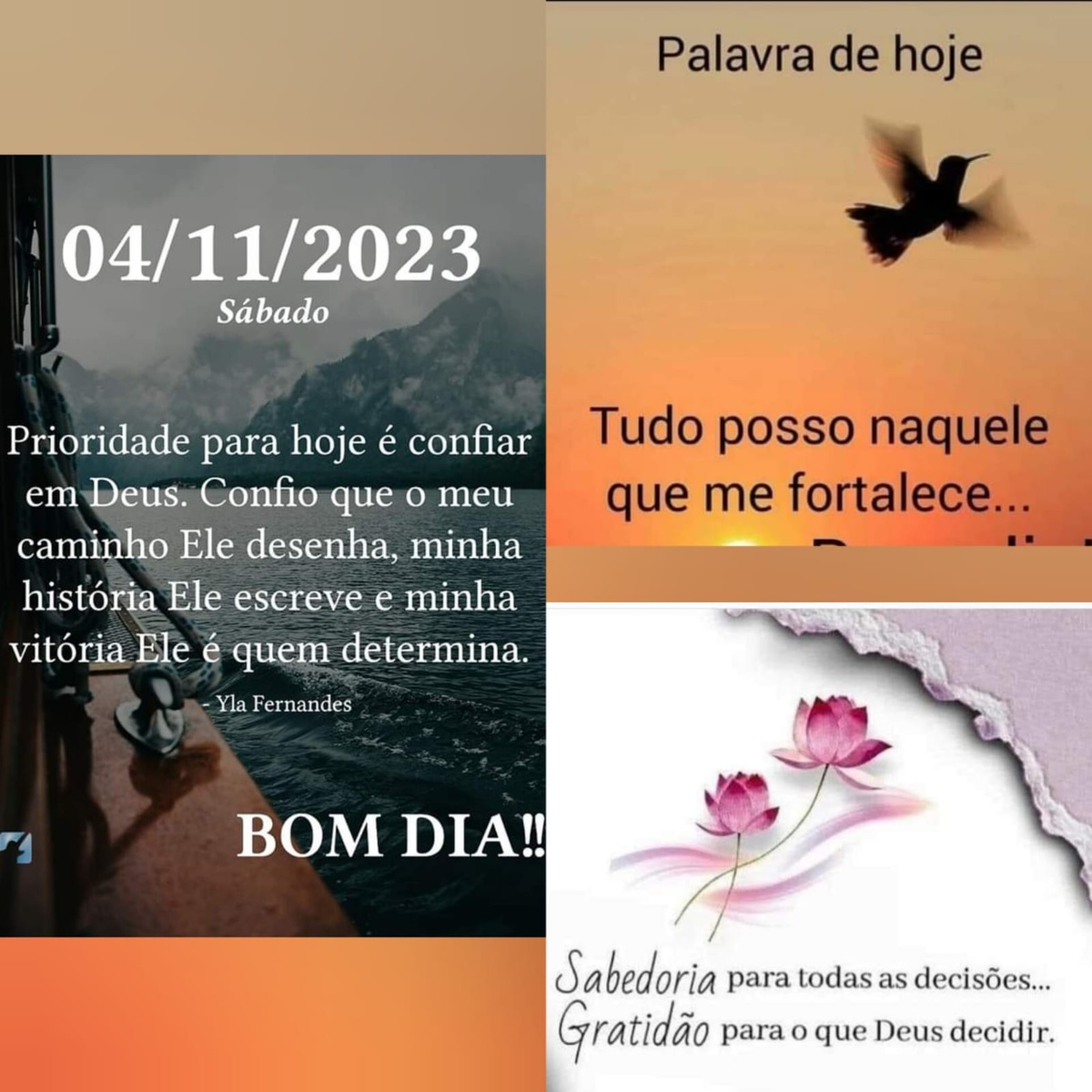 Pensamento do dia