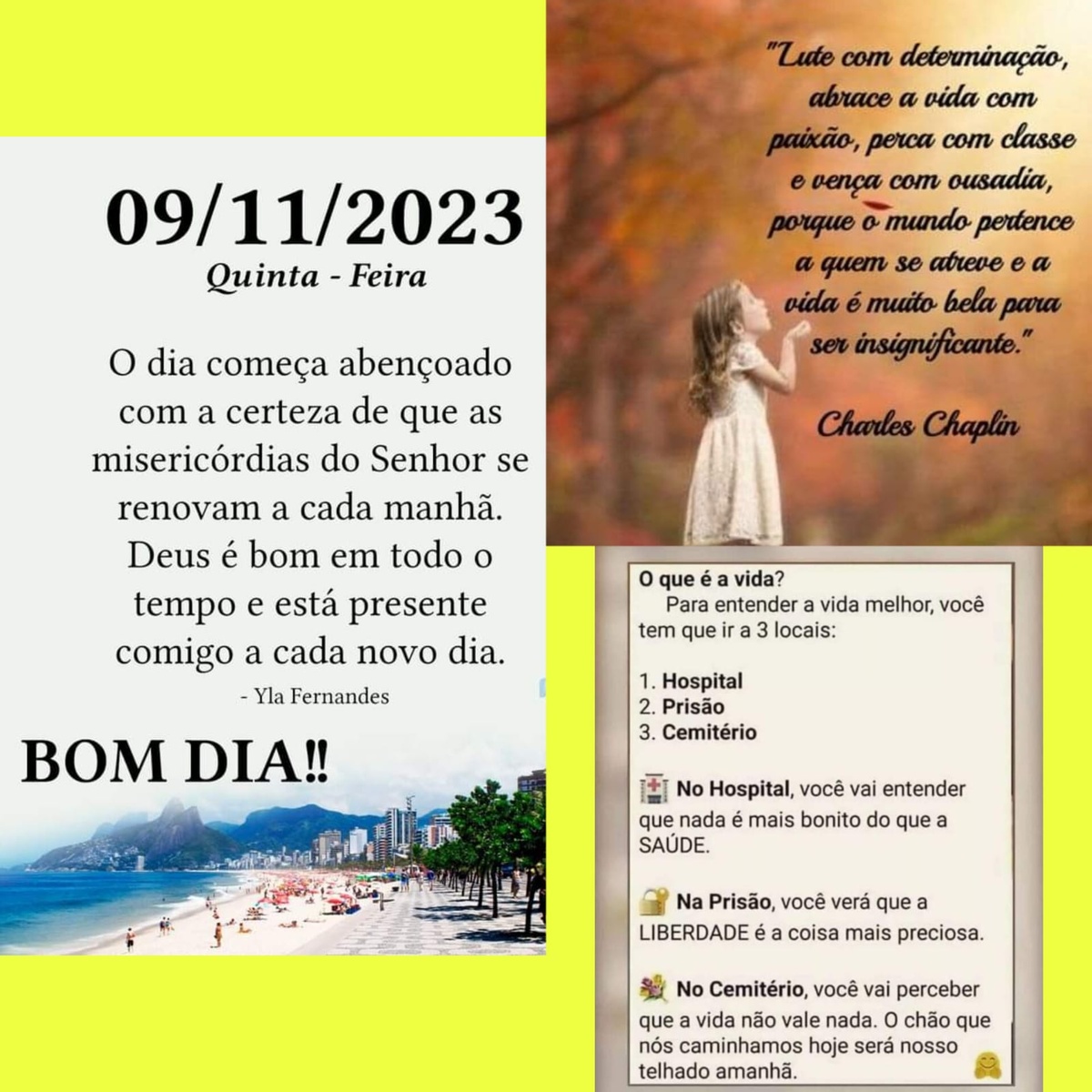 Pensamento do dia