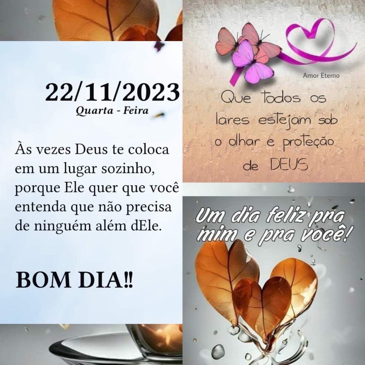 Pensamento do dia