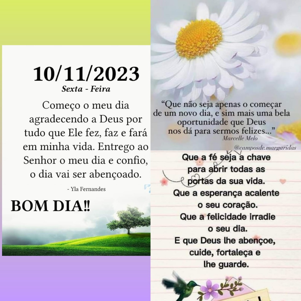 Pensamento do dia