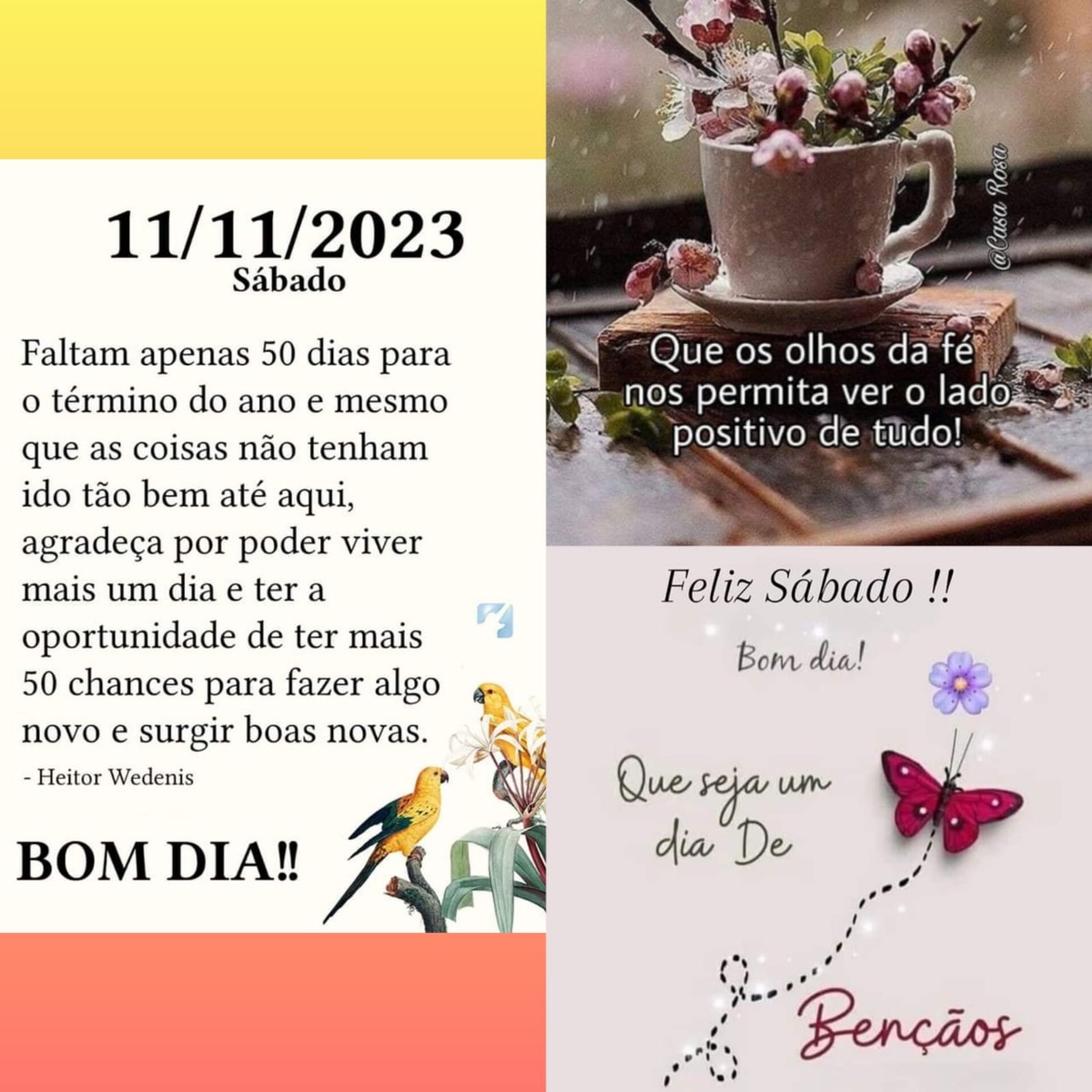 Pensamento do dia