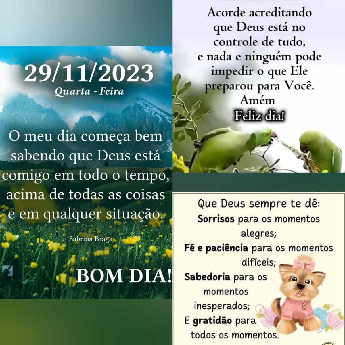 Pensamento do dia