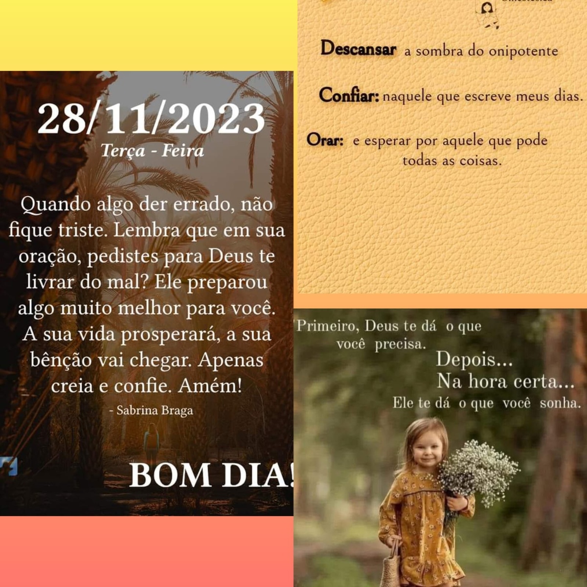 Pensamento do dia