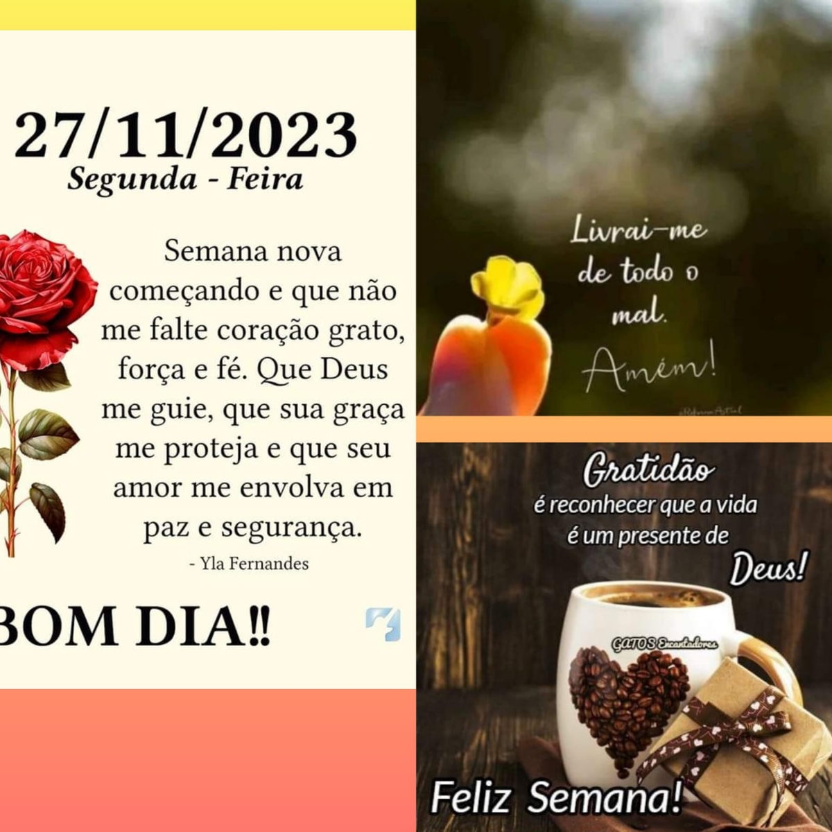 Pensamento do dia