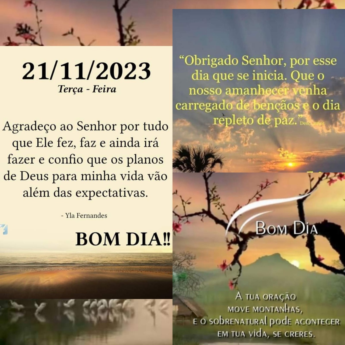 Pensamento do dia