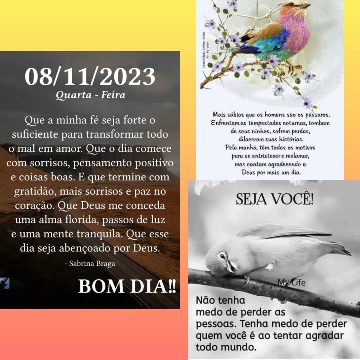 Pensamento do dia