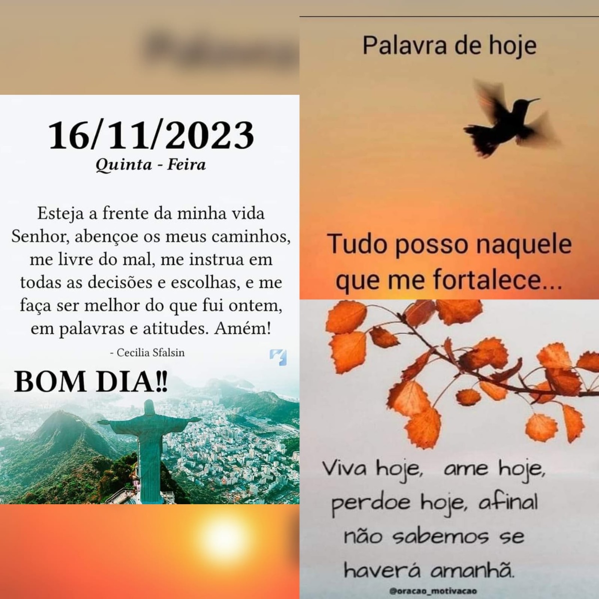 Pensamento do dia