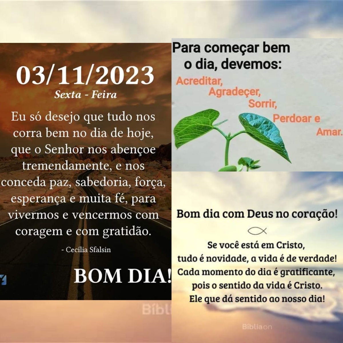 Pensamento do dia