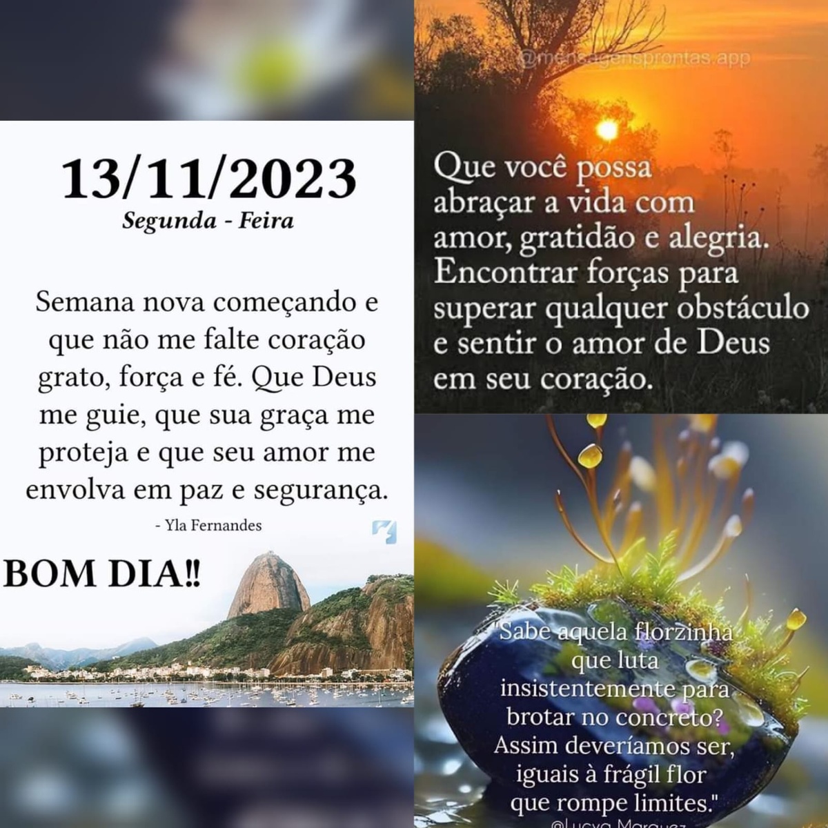 Pensamento do dia