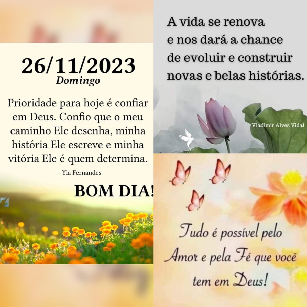 Pensamento do dia