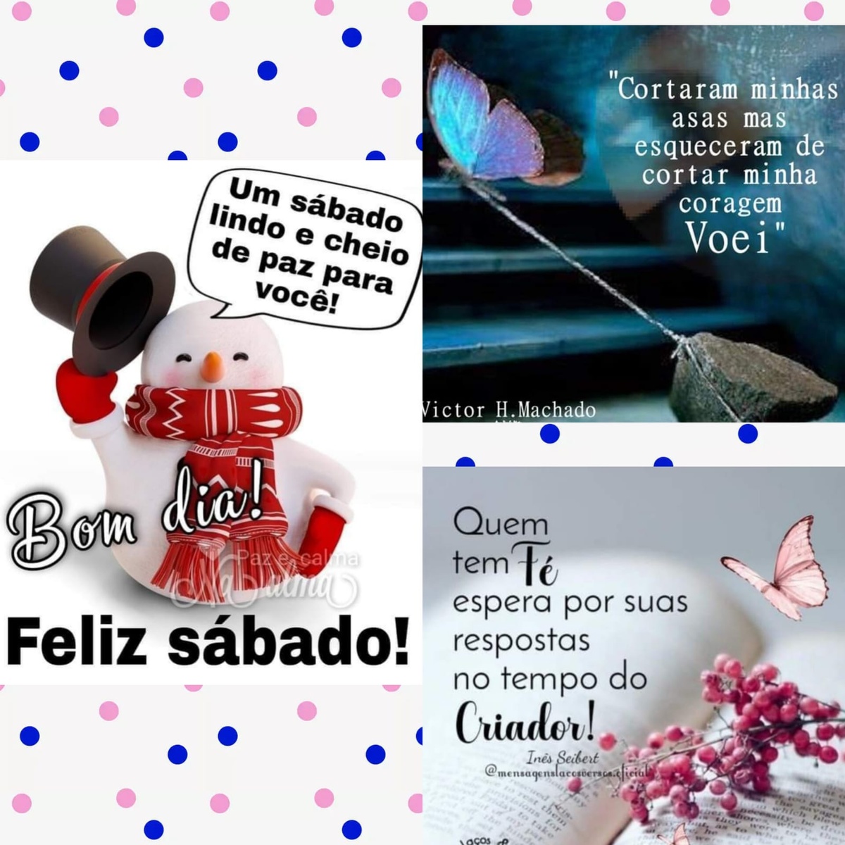 Pensamento do dia