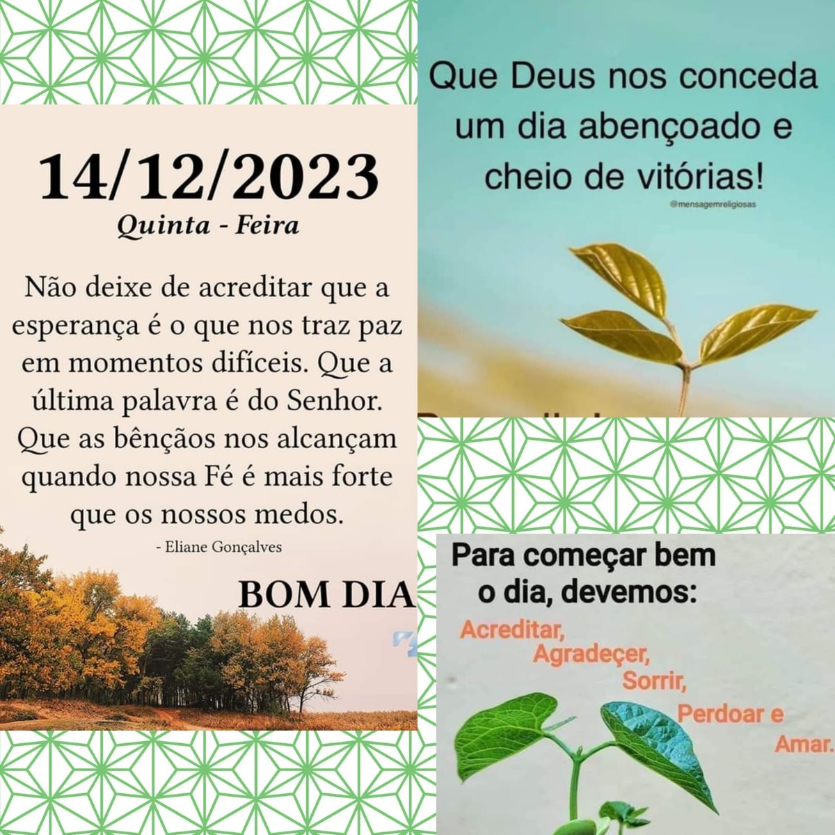 Pensamento do dia