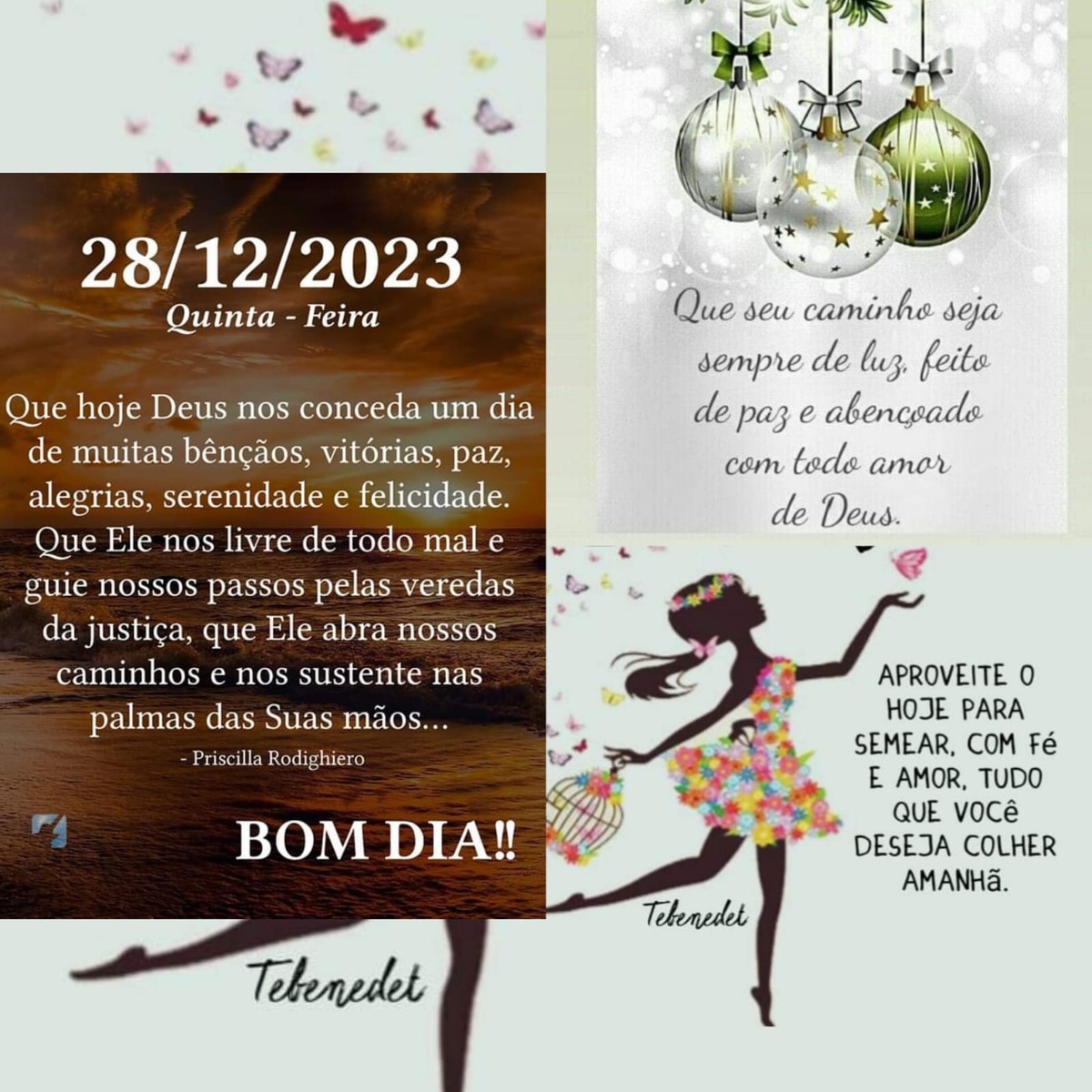 Pensamento do dia