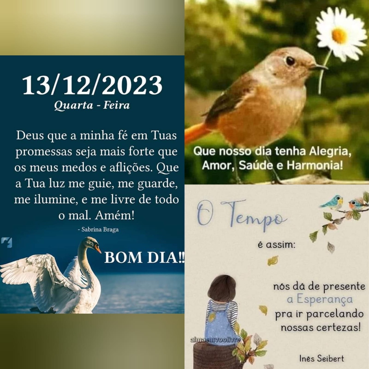 Pensamento do dia
