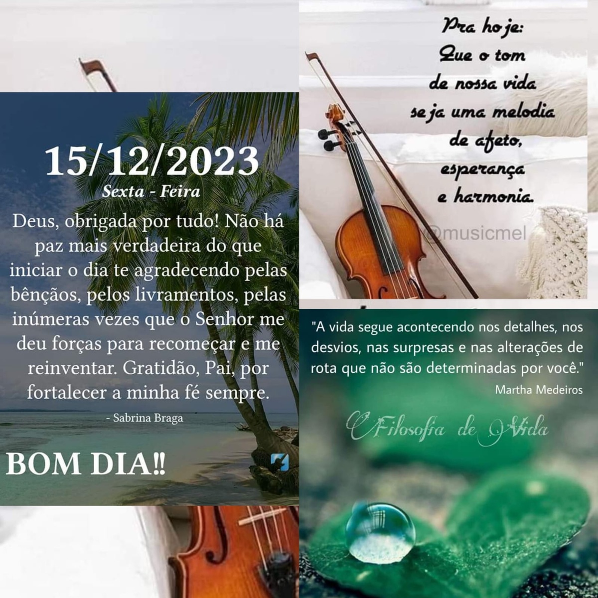 Pensamento do dia